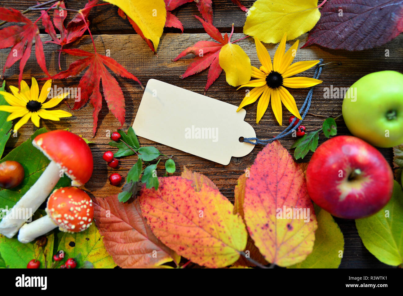 Herbst Hintergrund Stockfoto