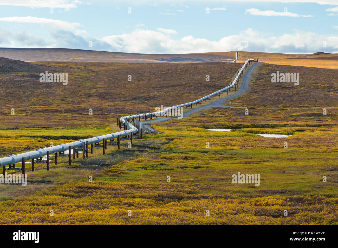 USA, Alaska, Brooks Range, Tore der Arktis National Preserve. Übersicht der Trans-Alaska Pipeline. Stockfoto