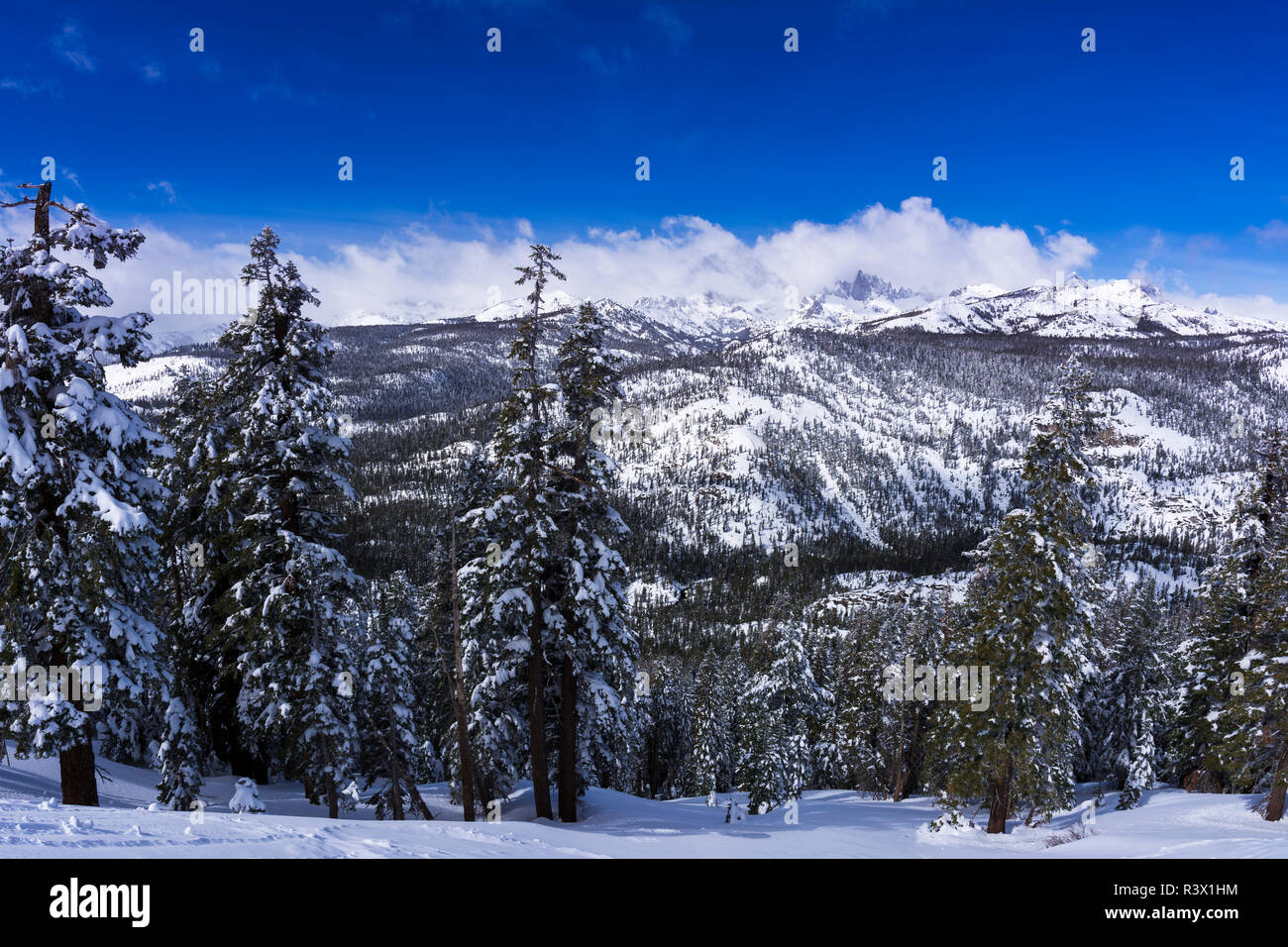 Die Minarette nach einem Wintersturm, Ansel Adams Wilderness, Sierra Nevada, Kalifornien, USA Stockfoto