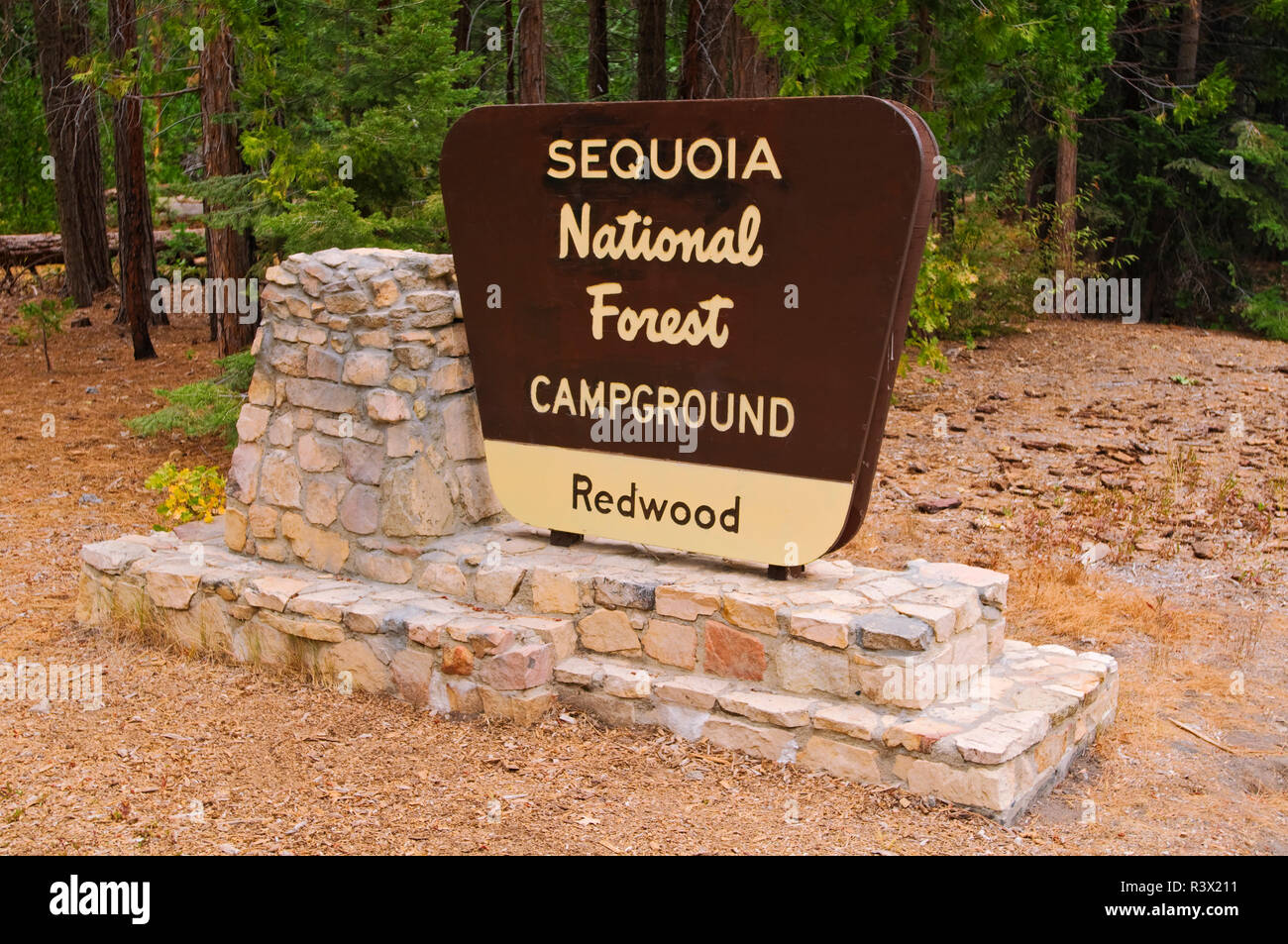 Redwood Wiese Campingplatz anmelden, Giant Sequoia National Monument, Sierra Nevada, Kalifornien, USA Stockfoto