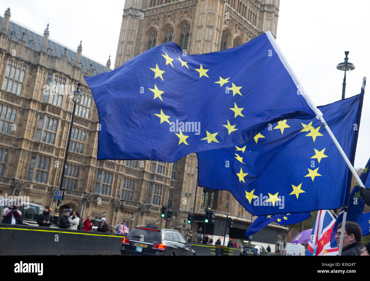 Bleiben Unterstützer außerhalb der Häuser des Parlaments in London demonstrieren. Sie sind auf die Entscheidung der EU am 29. März 2019 im Gegensatz zu verlassen Stockfoto