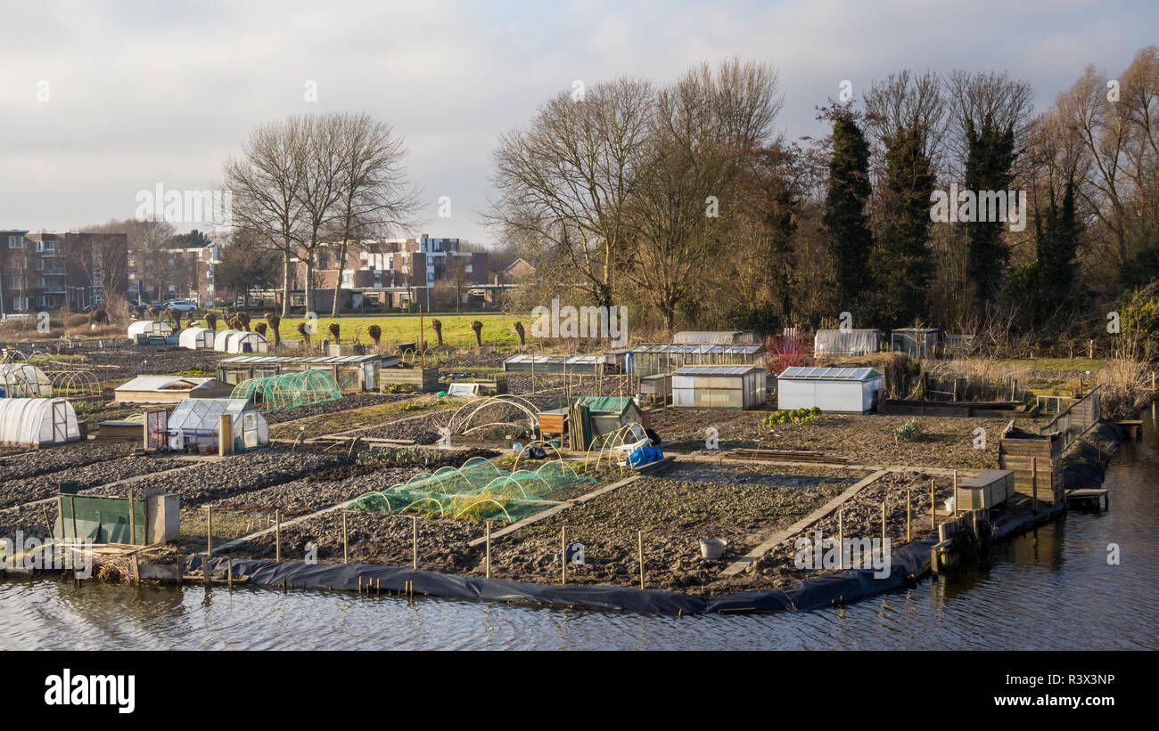 Stadt Gartenarbeit in Enkhuizen Niederlande Stockfoto