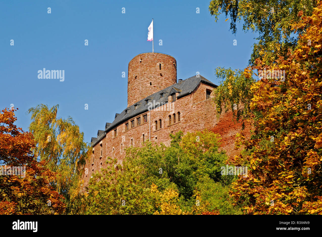 Hengebach im Herbst Stockfoto