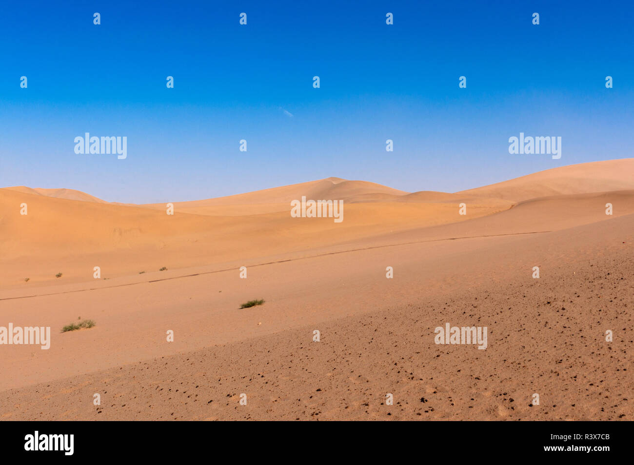 Die Sanddünen an der Echo Sand Mountain in der Nähe von Dunhuang in der Provinz Gansu, China. Stockfoto