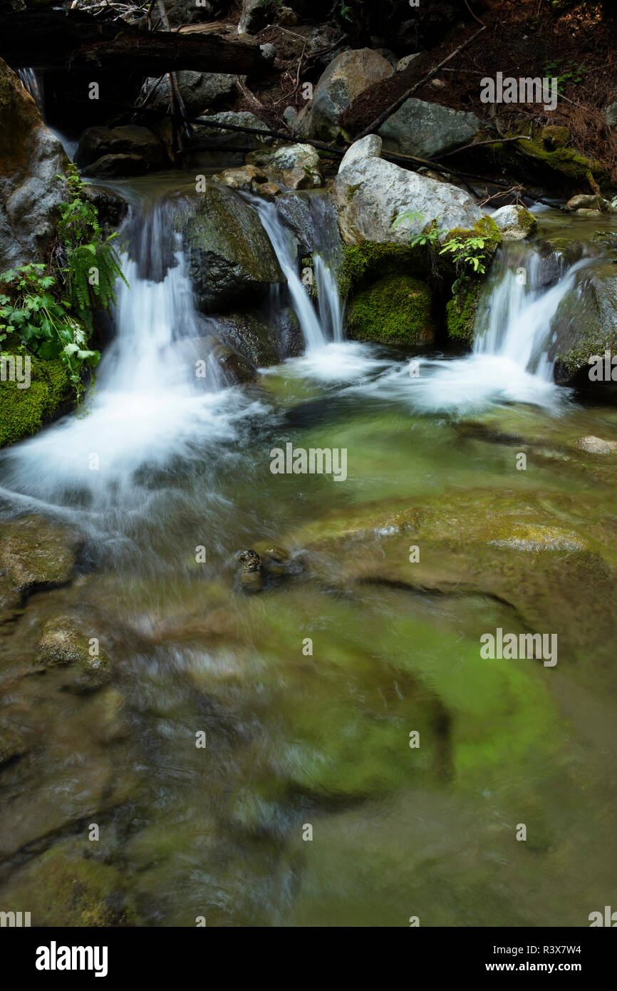 USA, Kalifornien, Big Sur. Hase Creek Wasserfälle. Credit: Christopher Talbot Frank/Jaynes Galerie/DanitaDelimont.com Stockfoto