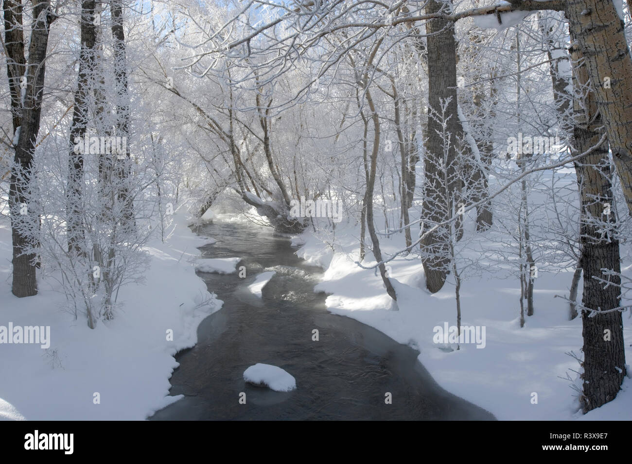 USA, Kalifornien, Sierra Nevada. McGee Creek im Winter. Stockfoto