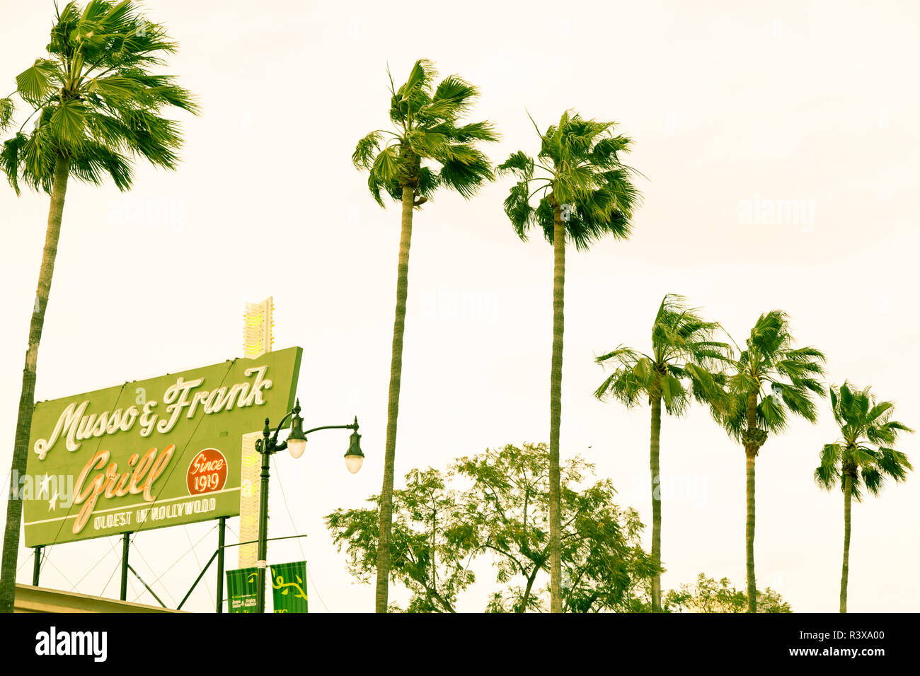 Palmen und Vintage Restaurant Zeichen in Hollywood, Los Angeles, Kalifornien, USA. (Redaktionelle nur verwenden) Stockfoto