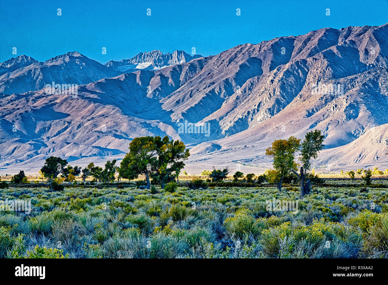USA, Bishop, Kalifornien. Eastern Sierra Region, Owens Valley Stockfoto
