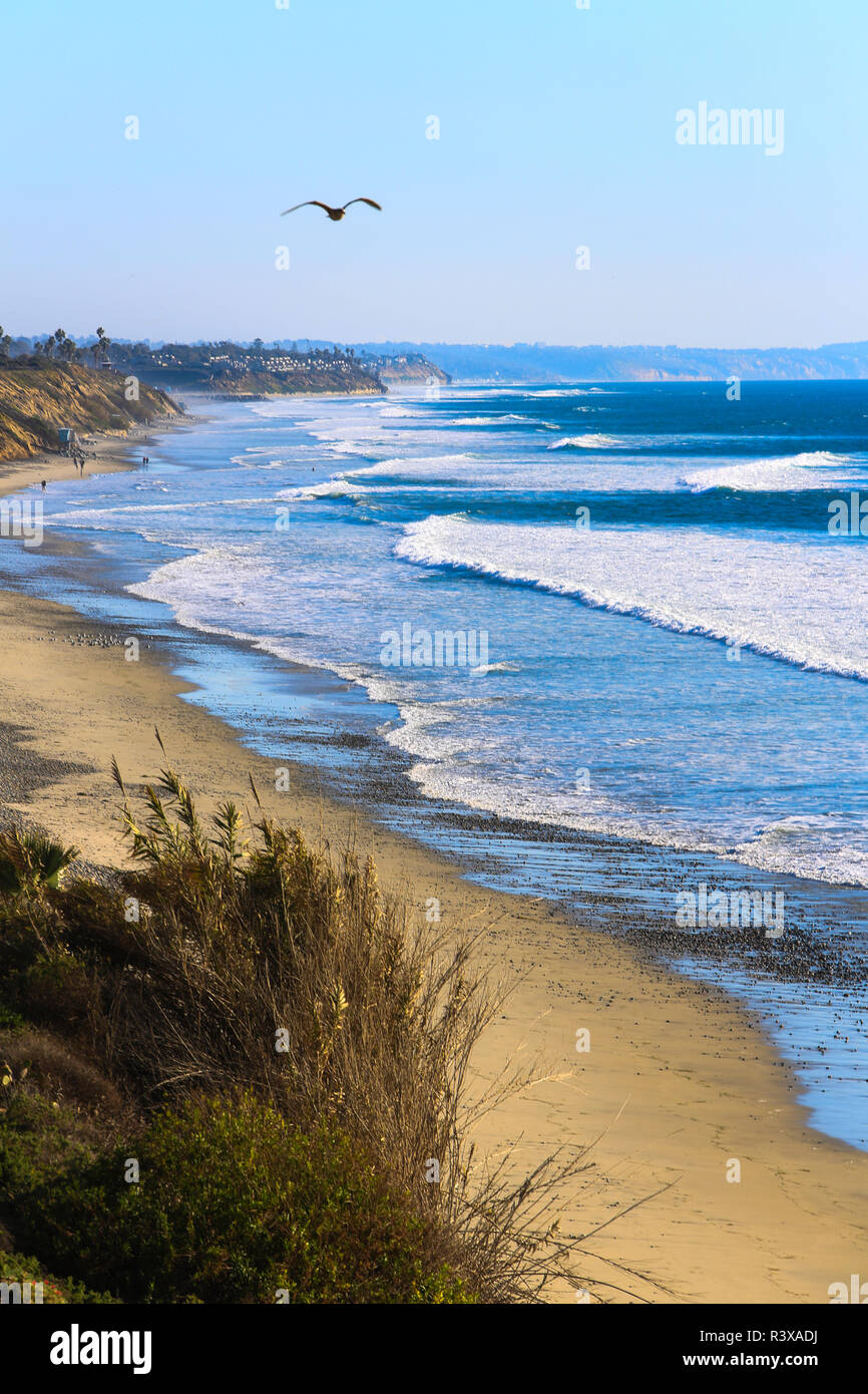 Carlsbad, Kalifornien. Möwe über Surfen und Küste Strand fliegen Stockfoto