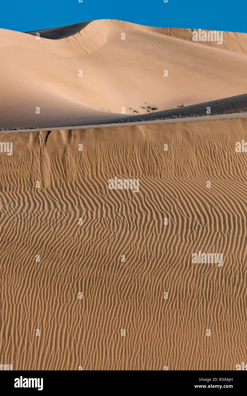 USA, Kalifornien. Windblown Sand dune Stockfoto