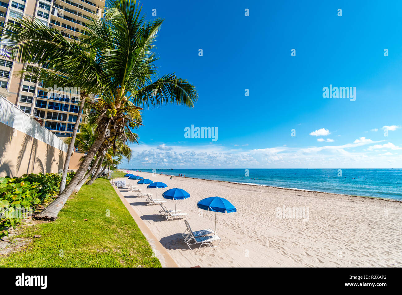 Palmen und Sonnenschirm Reihe am Strand von Miami, Florida, USA Stockfoto