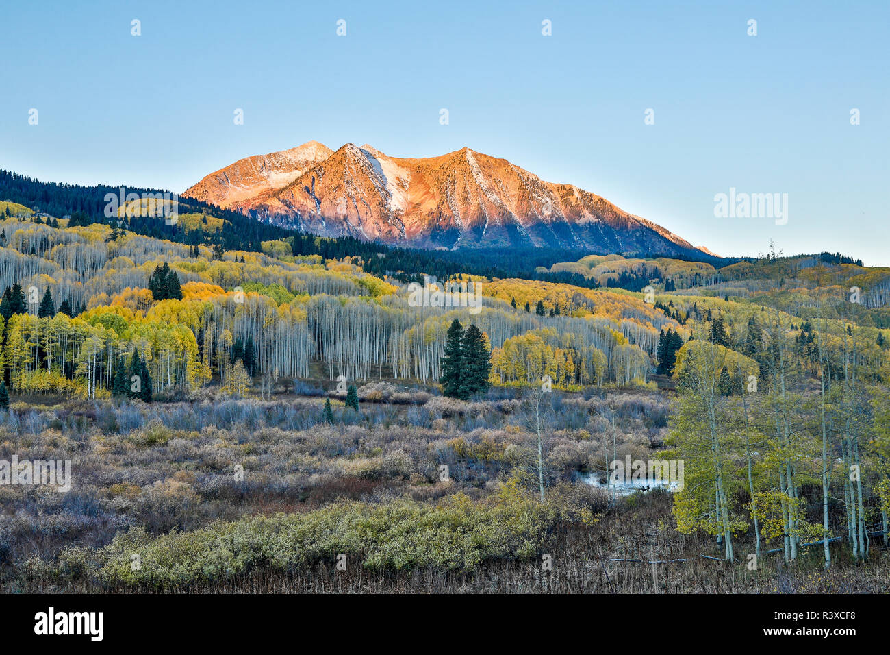 USA, Colorado, Crested Butte. Herbst Farben bei Kebler Pass Stockfoto