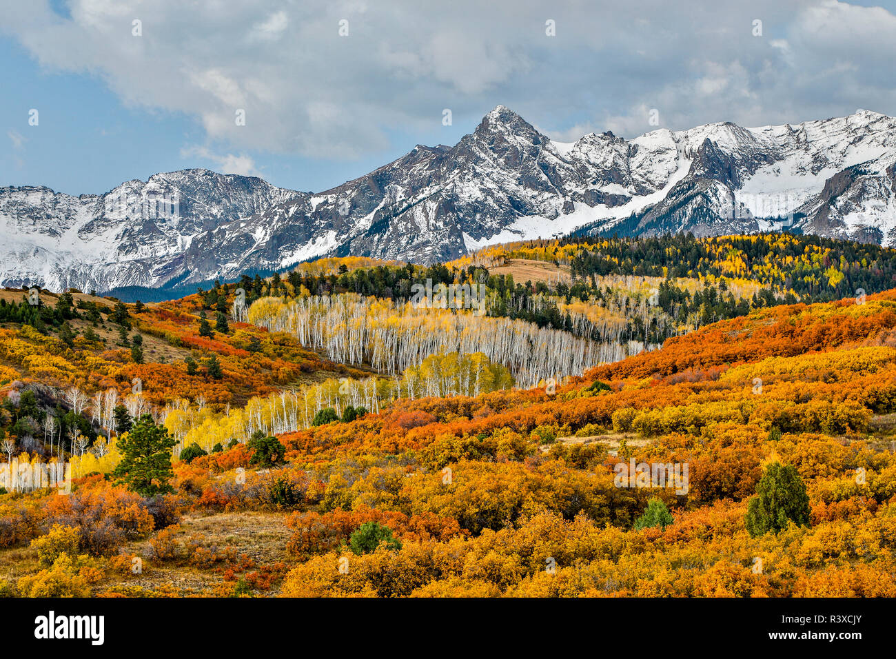 USA, Colorado, Ridgway. San Juan Mountains, Dallas im Herbst Teilen Stockfoto