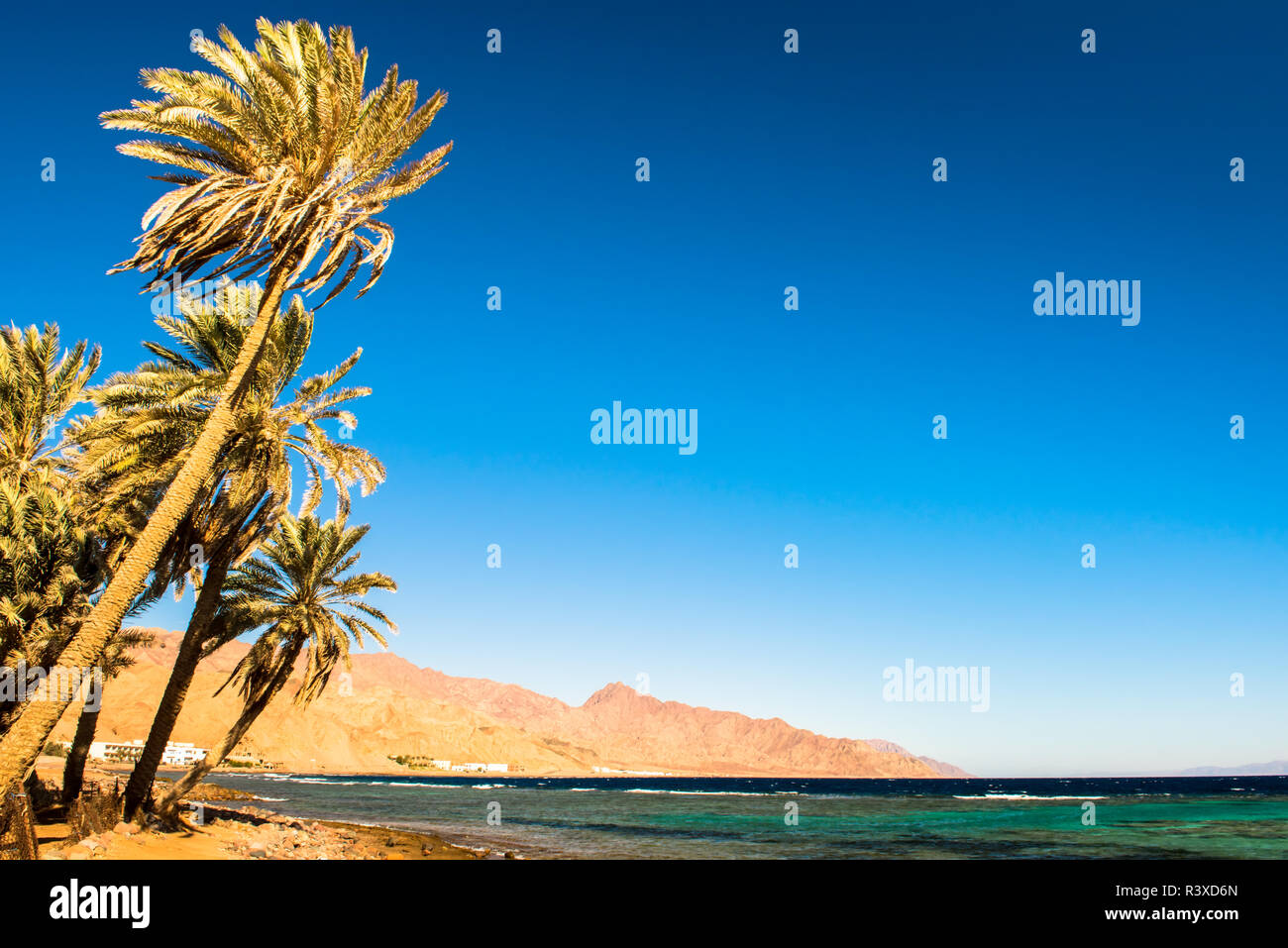Küste des Roten Meer, im Golf von Aqaba, in der Nähe von Dahab. Ägypten Stockfoto