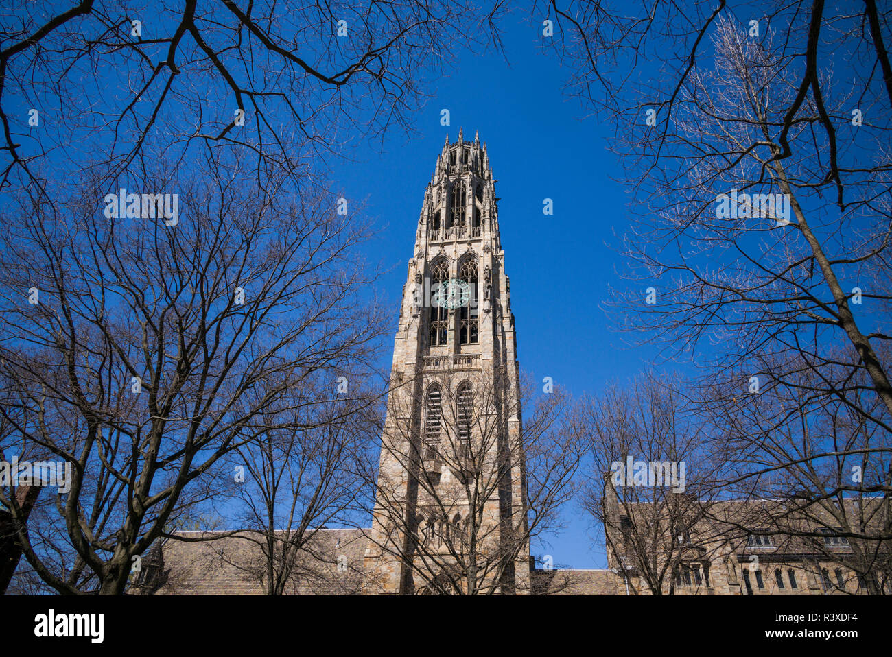 USA, Connecticut, New Haven, Yale University, Harkness Tower Stockfoto