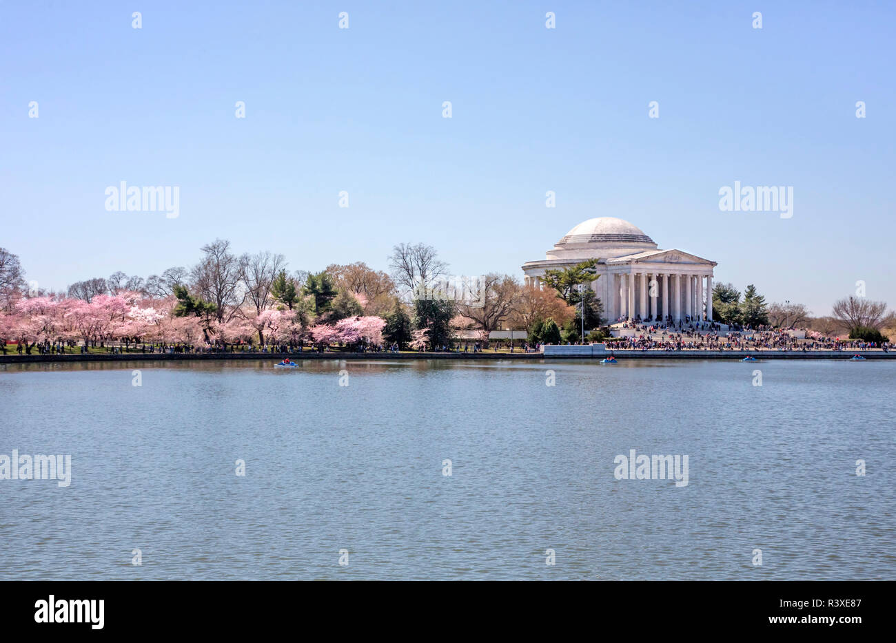 USA, District of Columbia, Washington D.C. Das Jefferson Memorial und Tidal Basin mit Kirschblüten. Stockfoto