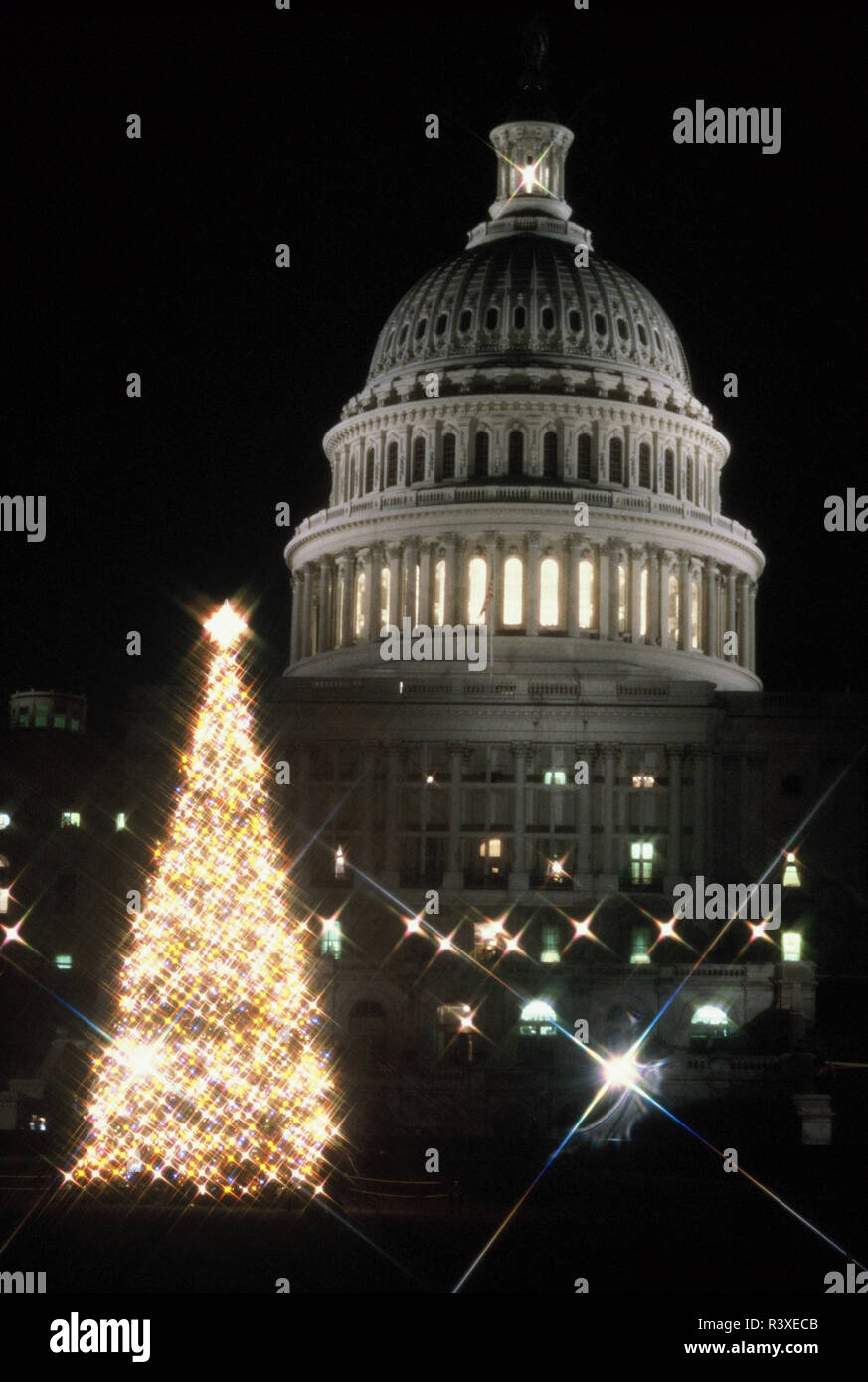 Das Capitol Weihnachtsbaum im Dezember 1983 Stockfoto