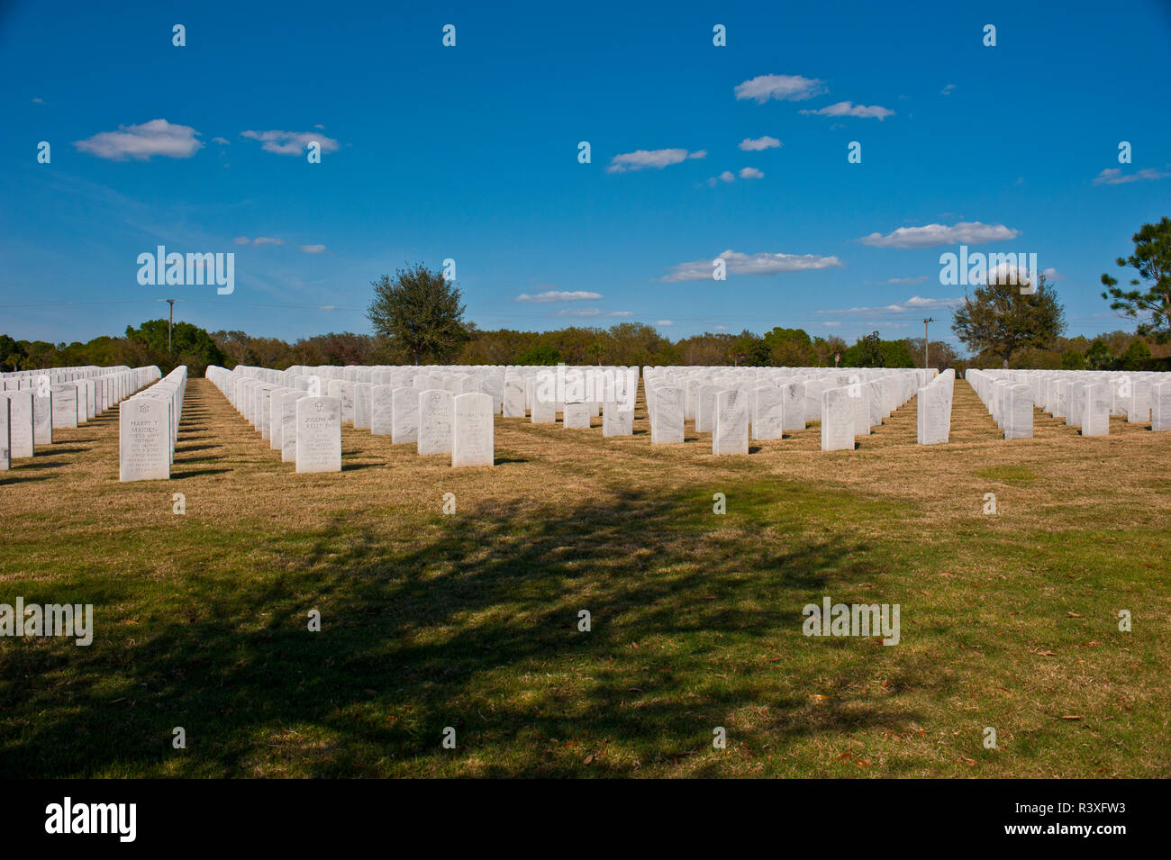 USA, Florida, Sarasota National Friedhof, Grab marker Muster Stockfoto