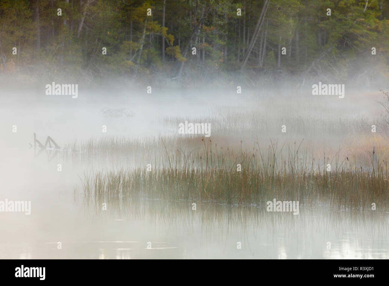 Tahquamenon River bei Sonnenaufgang, in der Nähe von Paradise, Michigan, oberen Halbinsel. Stockfoto