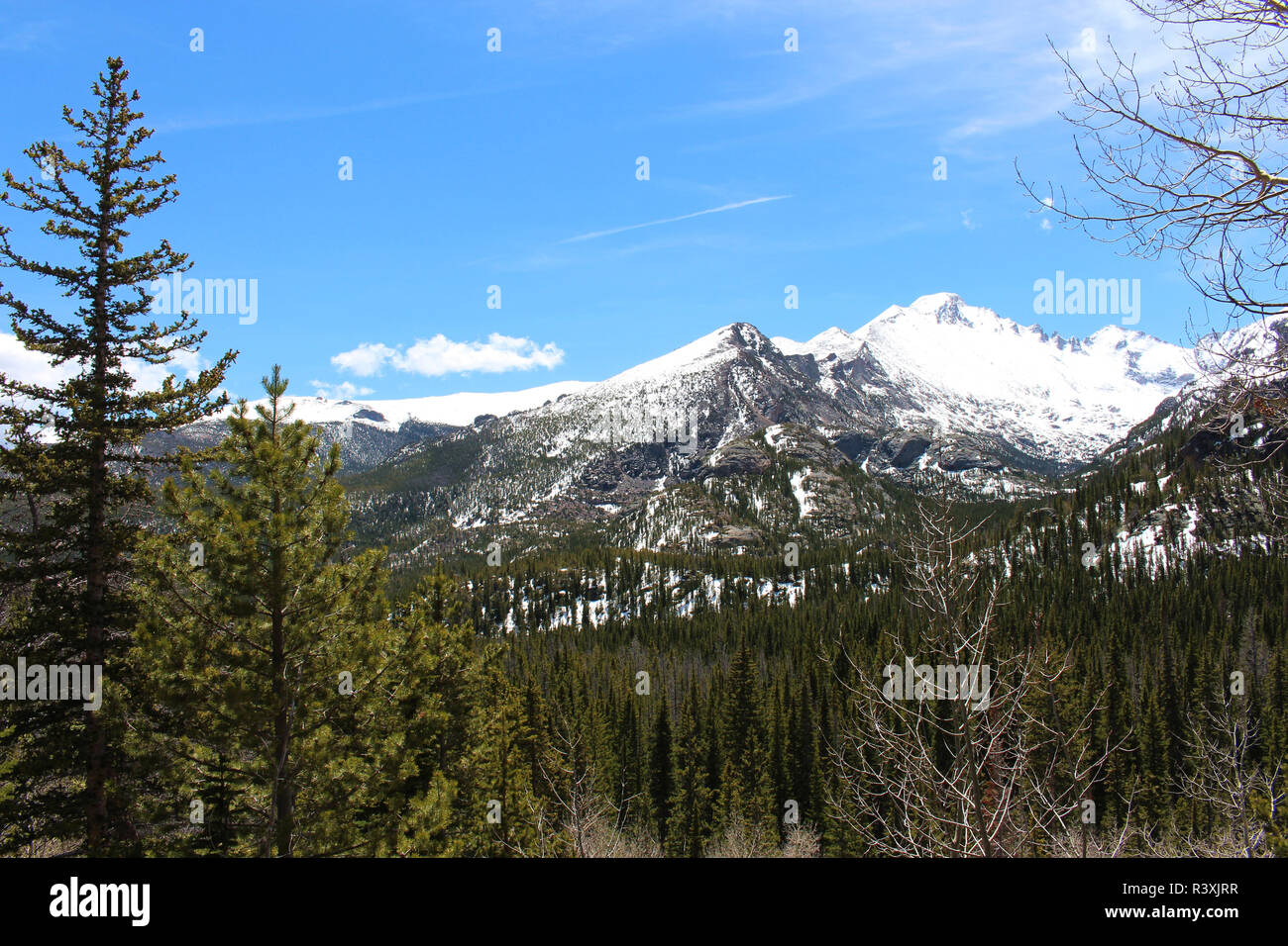 Herrliche Ausblicke auf die Landschaft von Schnee bedeckt Berggipfel und Kiefernwald auf der Bär Spur im Rocky Mountain National Park, Estes Park, Colorado, USA Stockfoto