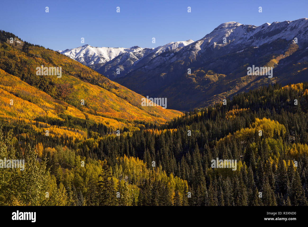 USA, Colorado. Berg und Wald im Herbst Landschaft. Stockfoto