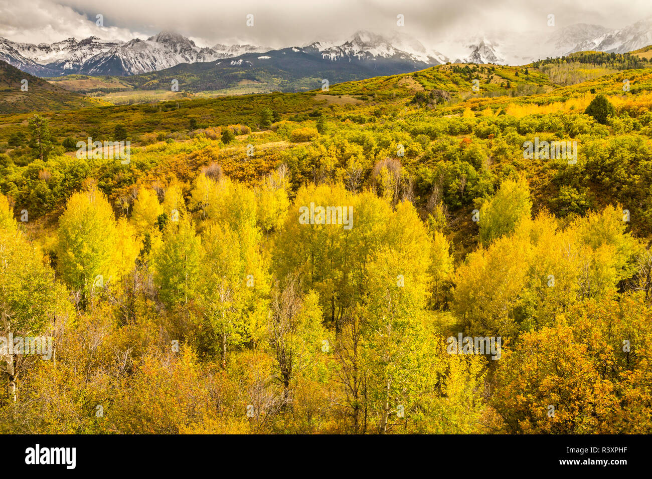 USA, Colorado, Dallas Teilen. Wald- und Berglandschaft im Herbst. Stockfoto