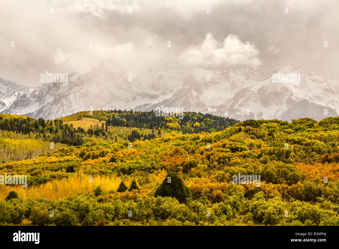 USA, Colorado, Dallas Teilen. Wald- und Berglandschaft im Herbst. Stockfoto