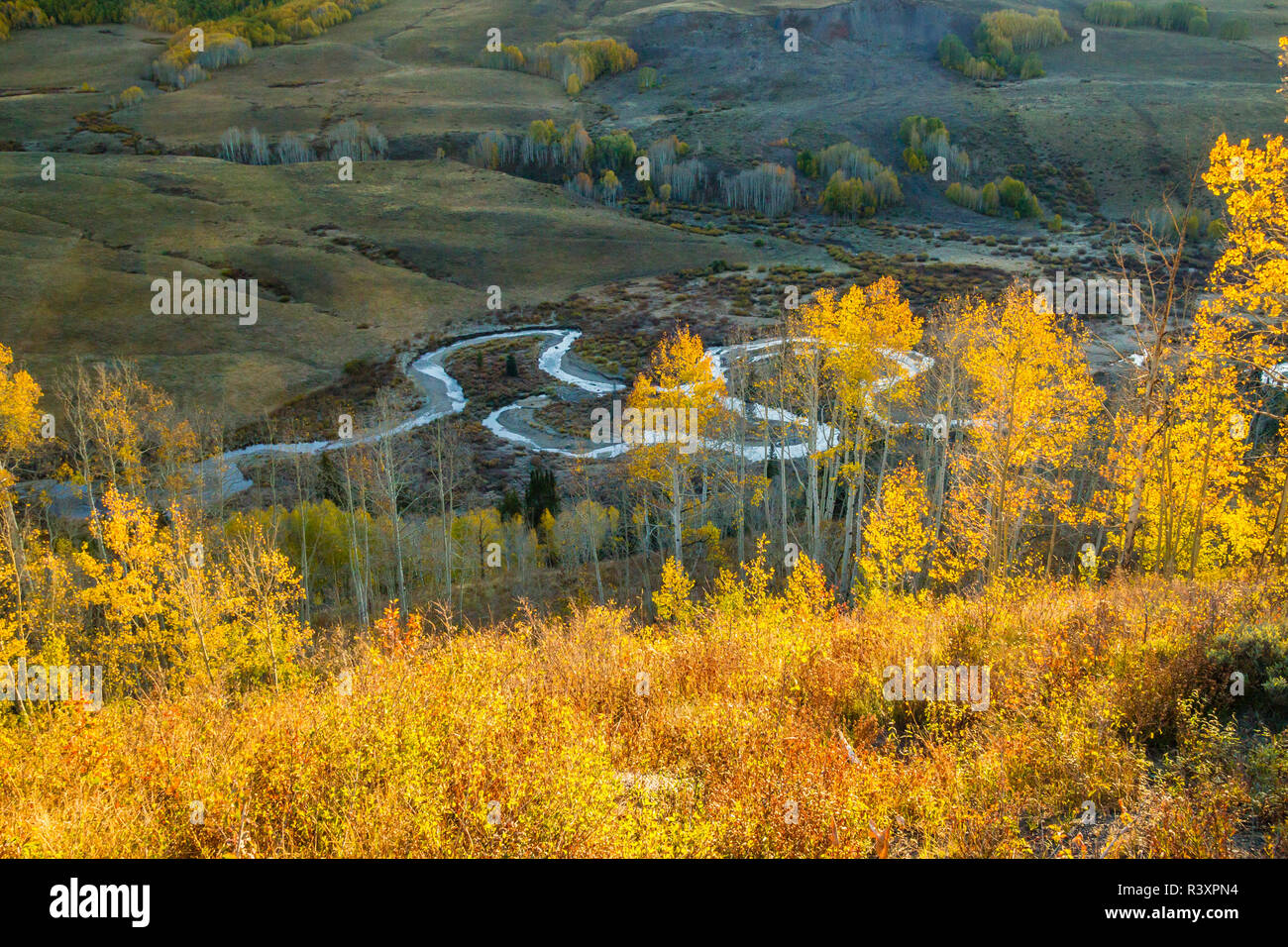 USA, Colorado Gunnison National Forest. East River und Herbst Farbe. Stockfoto