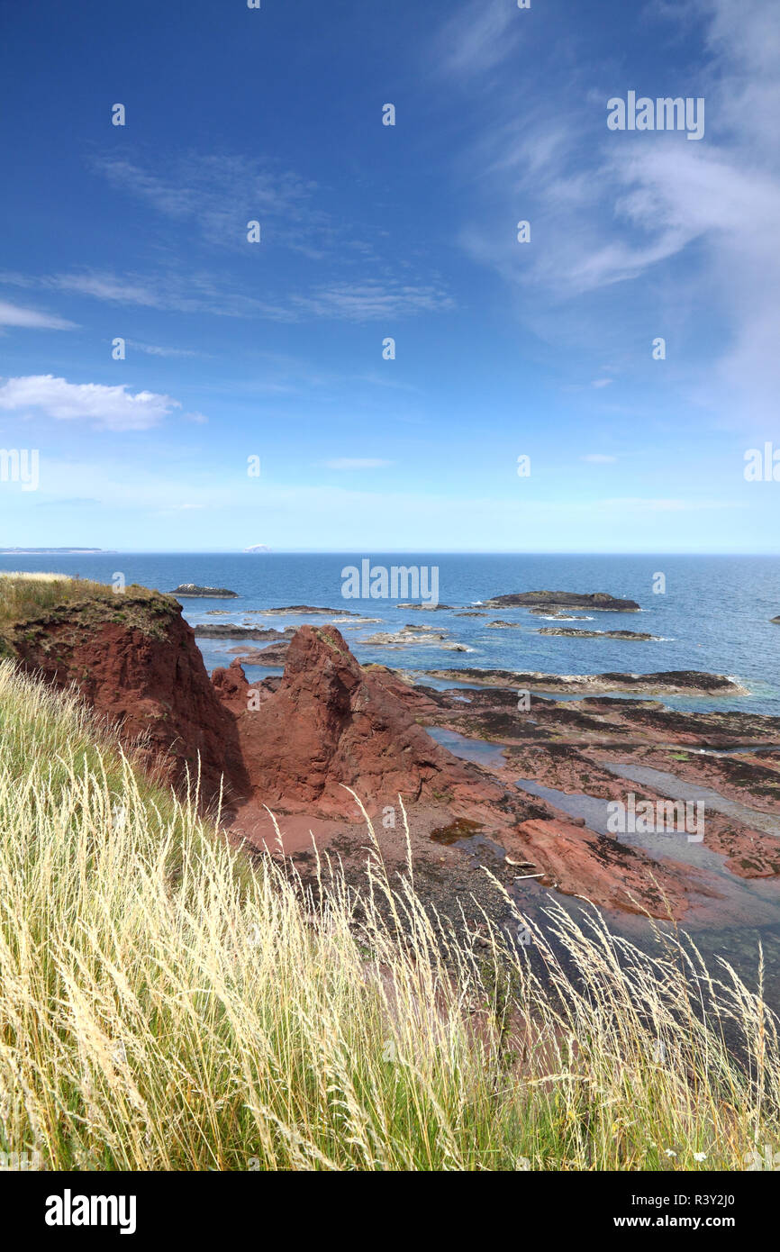 Die roten Felsen an der Küste bei Dunbar, Schottland Stockfoto