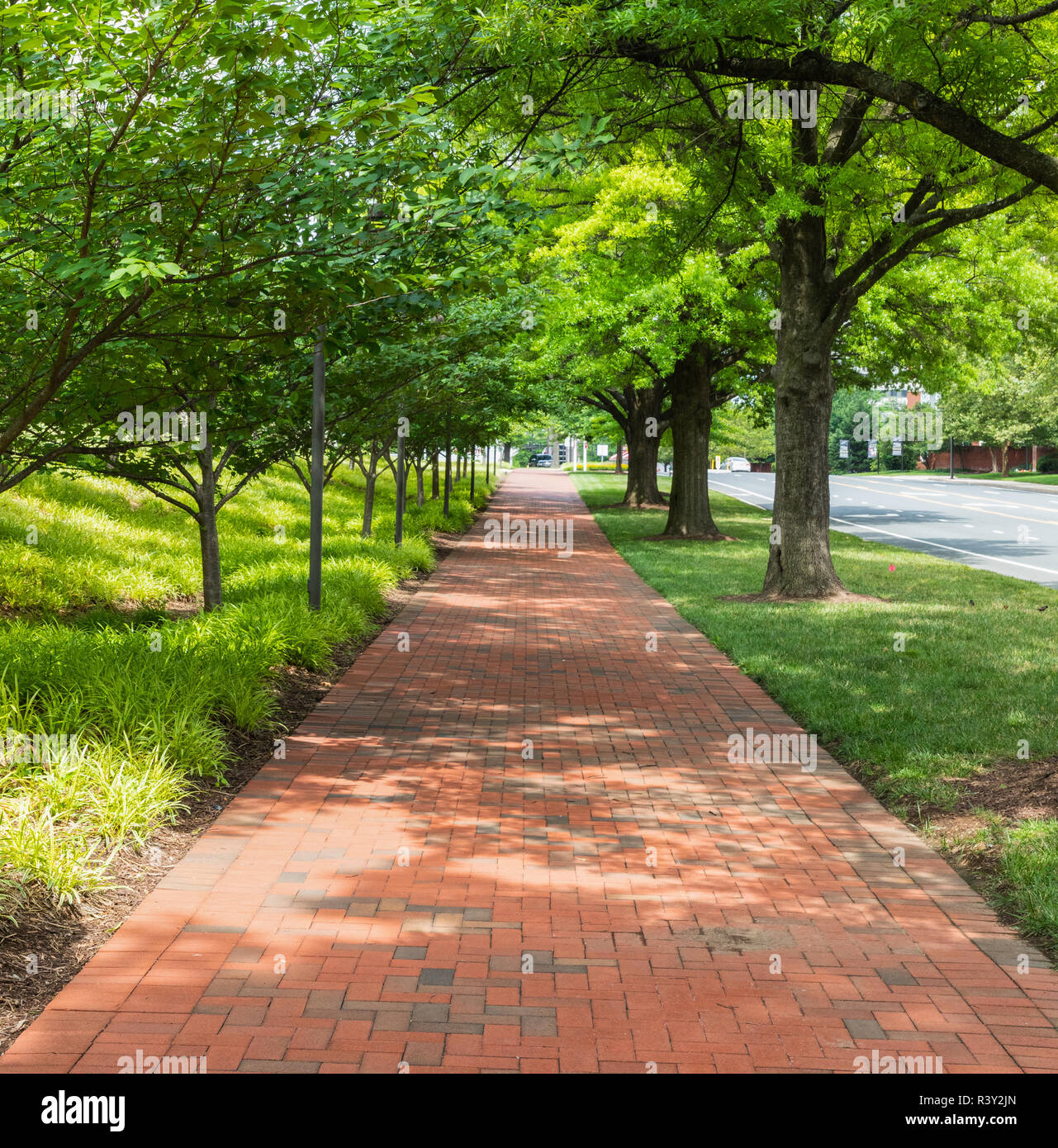 Brick Weg, gesäumt von Bäumen, in Bethesda, Maryland, USA Stockfoto