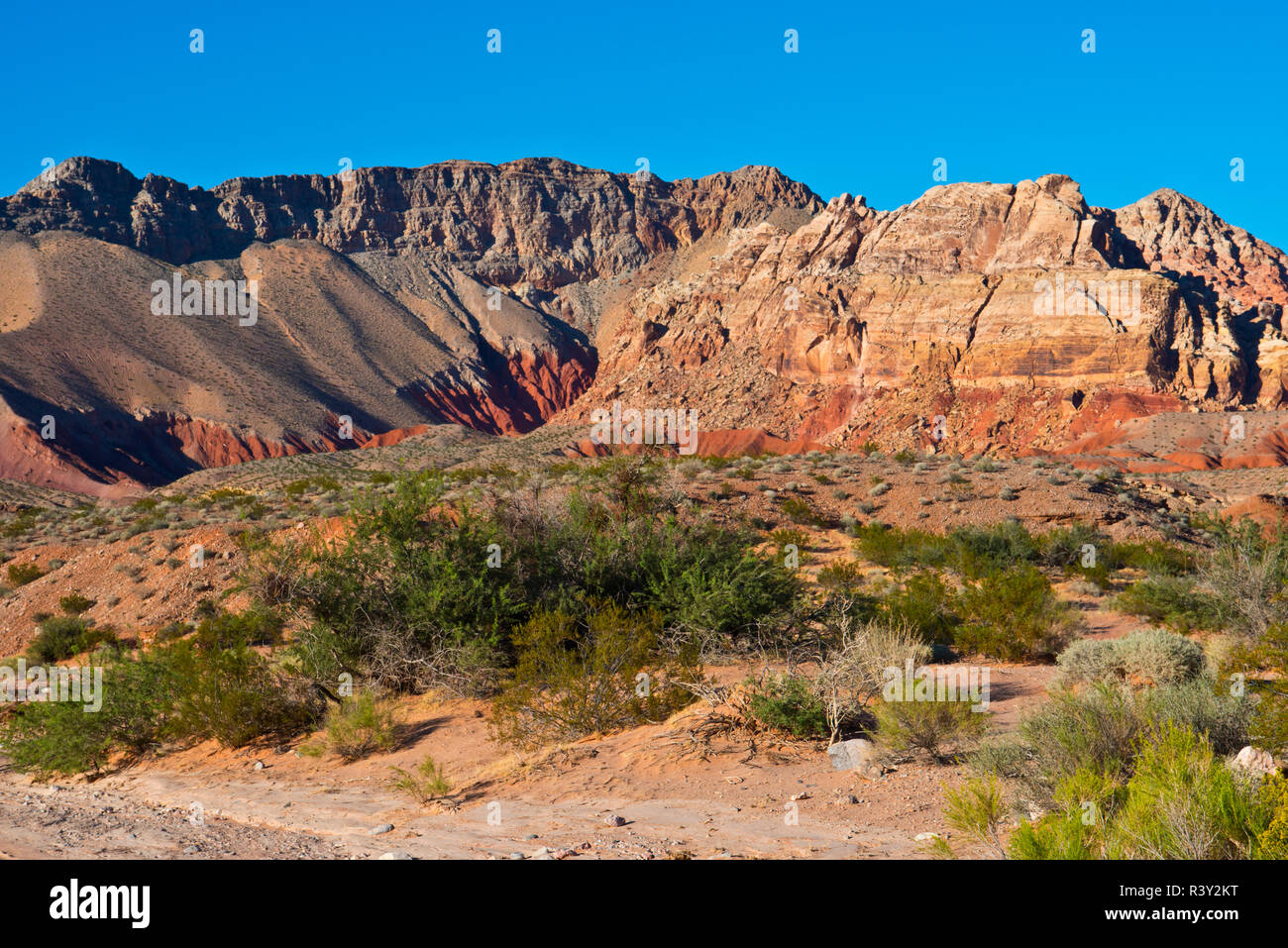 USA, Nevada. Mesquite. Gold Butte National Monument Stockfoto