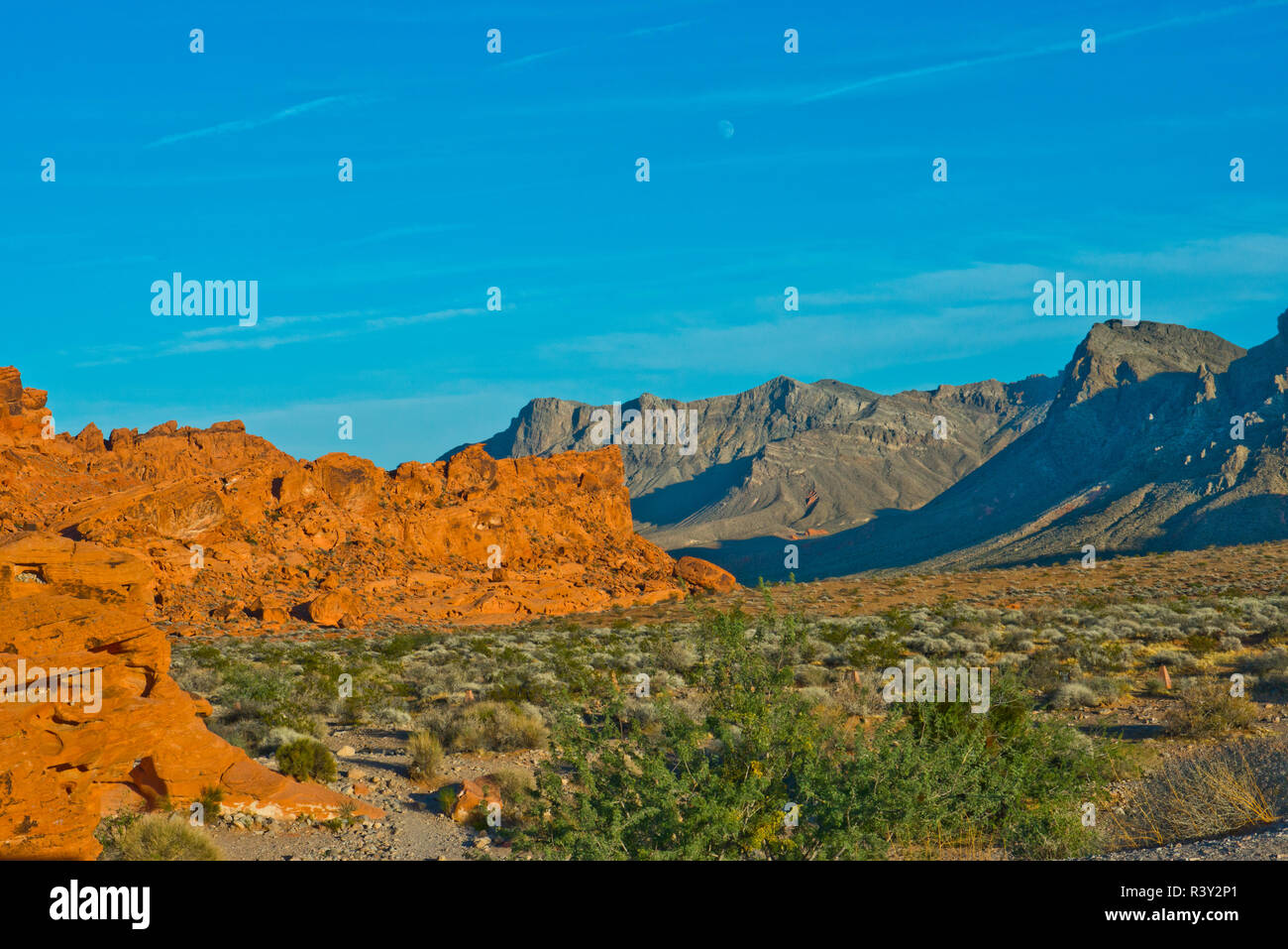 USA, Nevada. Overton, Valley of Fire State Park, der erste Nevada Park, Blick vom größten Park Road Stockfoto