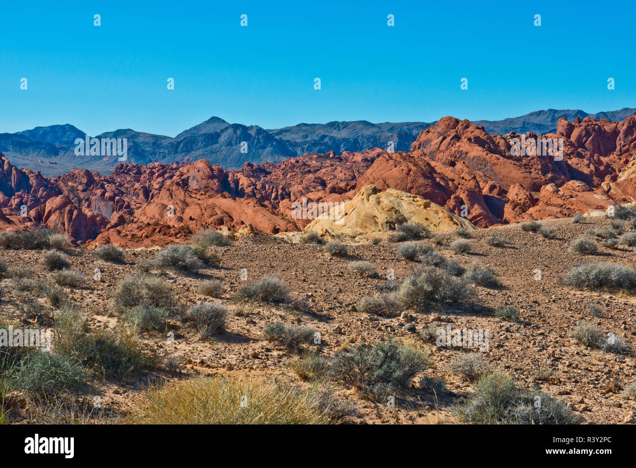 USA, Nevada. Valley of Fire State Park, Brand Canyon Road Stockfoto