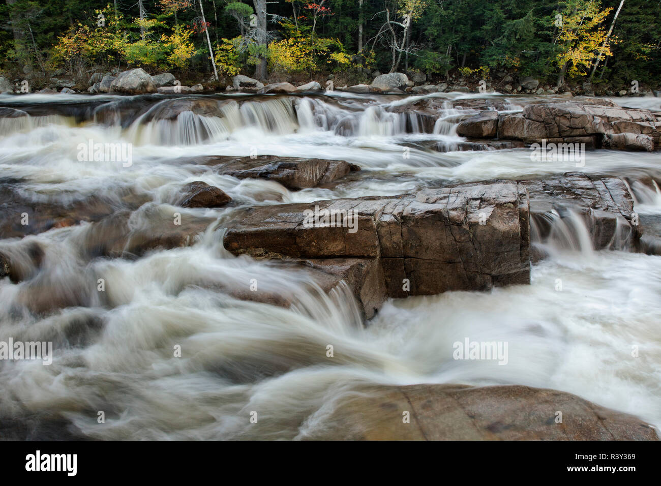 Lower Falls und die Farben des Herbstes, Swift River, Lower Falls Recreation Site, Kancamagus, New Hampshire Stockfoto