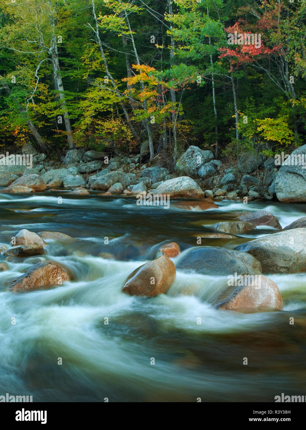 USA, New Hampshire. Bäume im Herbst und fließenden Fluss. Stockfoto