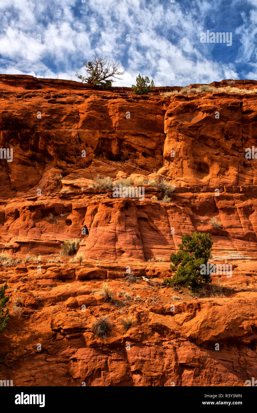 USA, New Mexiko. Jemez Gebirge Landschaft. Stockfoto