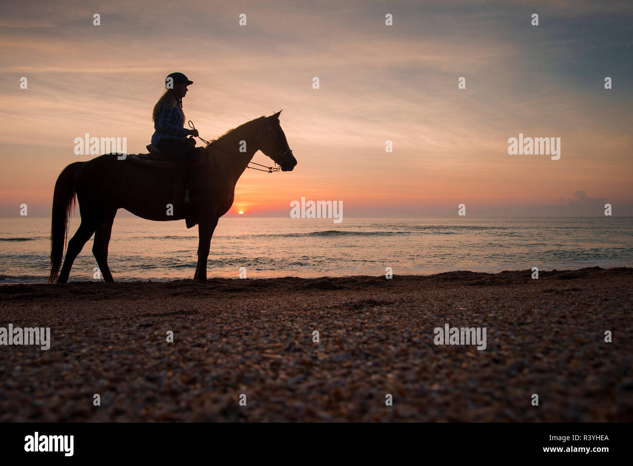 Pferd und Reiter, Sunrise, Vilano Beach, Florida (MR) Stockfoto