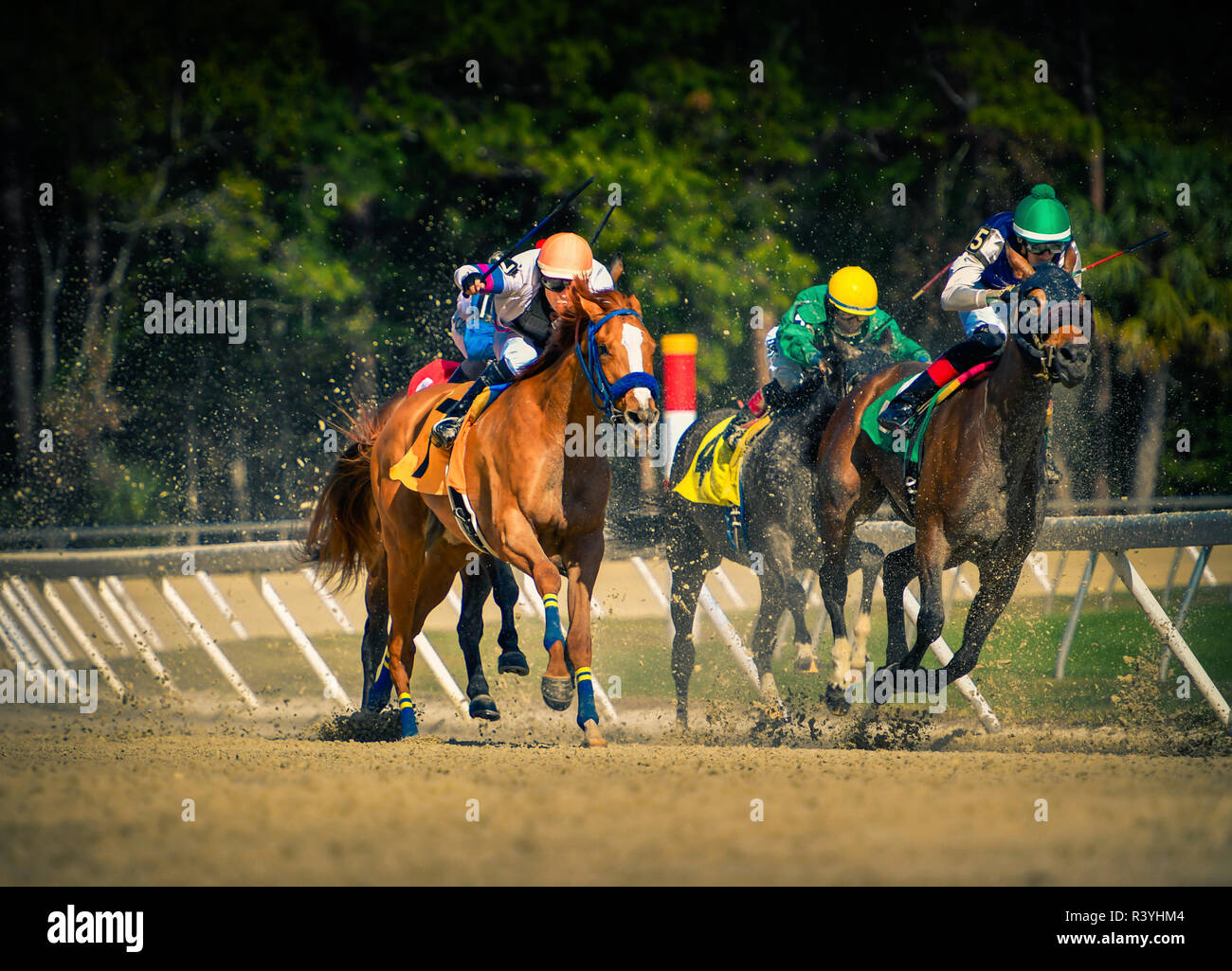Jockeys Rundung eine Kurve auf der Zielgeraden der Pferderennen Stockfoto