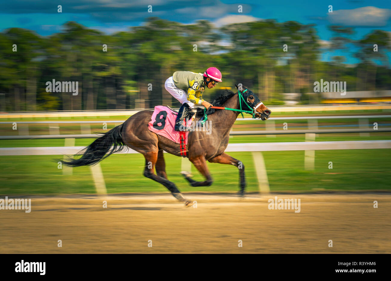 Ein Jockey bis steigende auf Pferd auf der Zielgeraden von Pferderennen, Panorama Foto Stockfoto