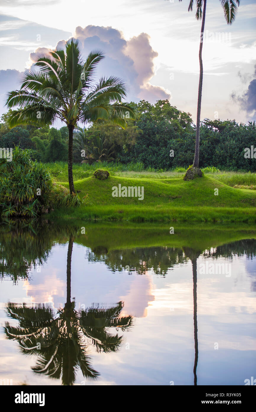 Hanalei Bay, Hawaii, Kauai, Kauikeolani Immobilien, Palmen, Wolken, Wiese, Teich Stockfoto