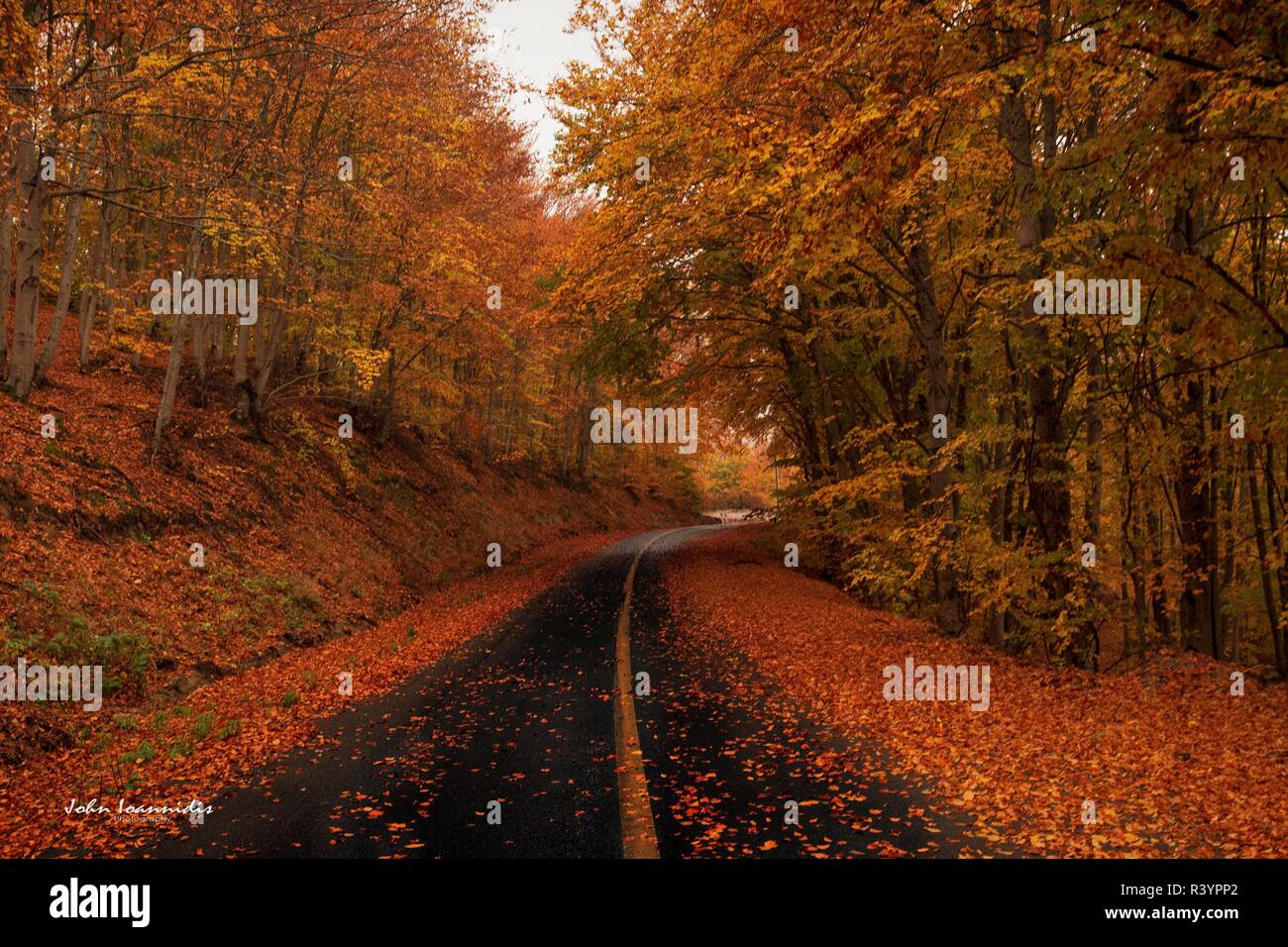 Herbst im Berg vitsi Griechenland Stockfoto