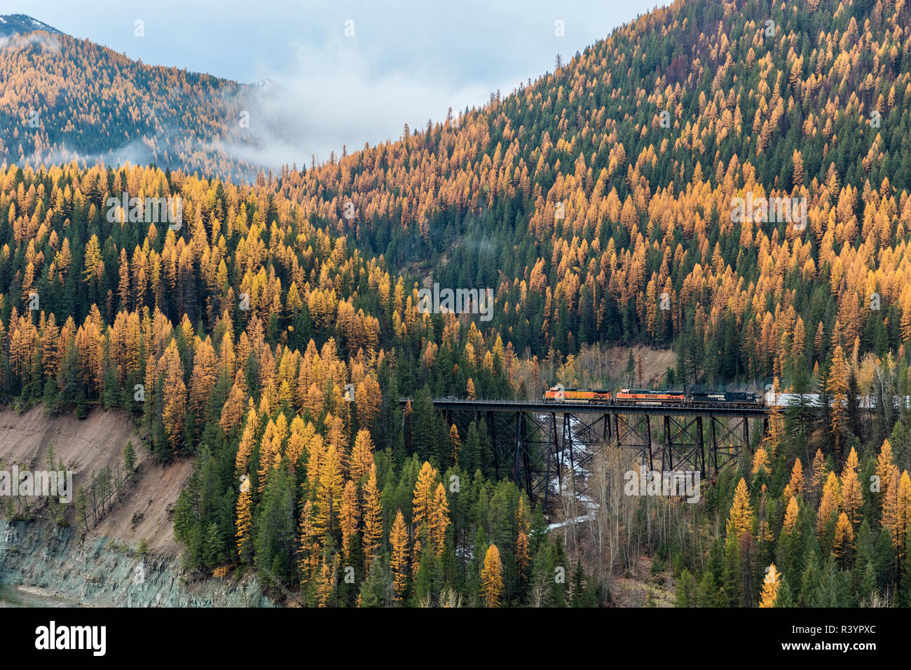 Güterzug Überquerung der Schafe Creek Doubles im Herbst in der Flathead National Forest, Montana, USA Stockfoto