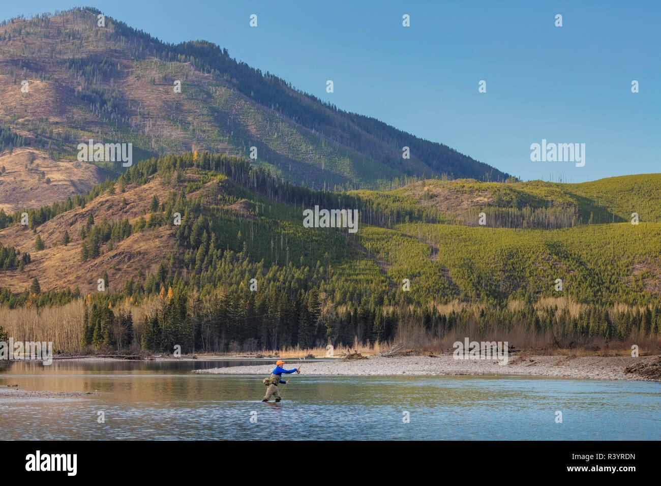 Angeln auf der mittleren Gabel der Flathead River Fliegen in der Flathead National Forest, Montana, USA (MR) Stockfoto