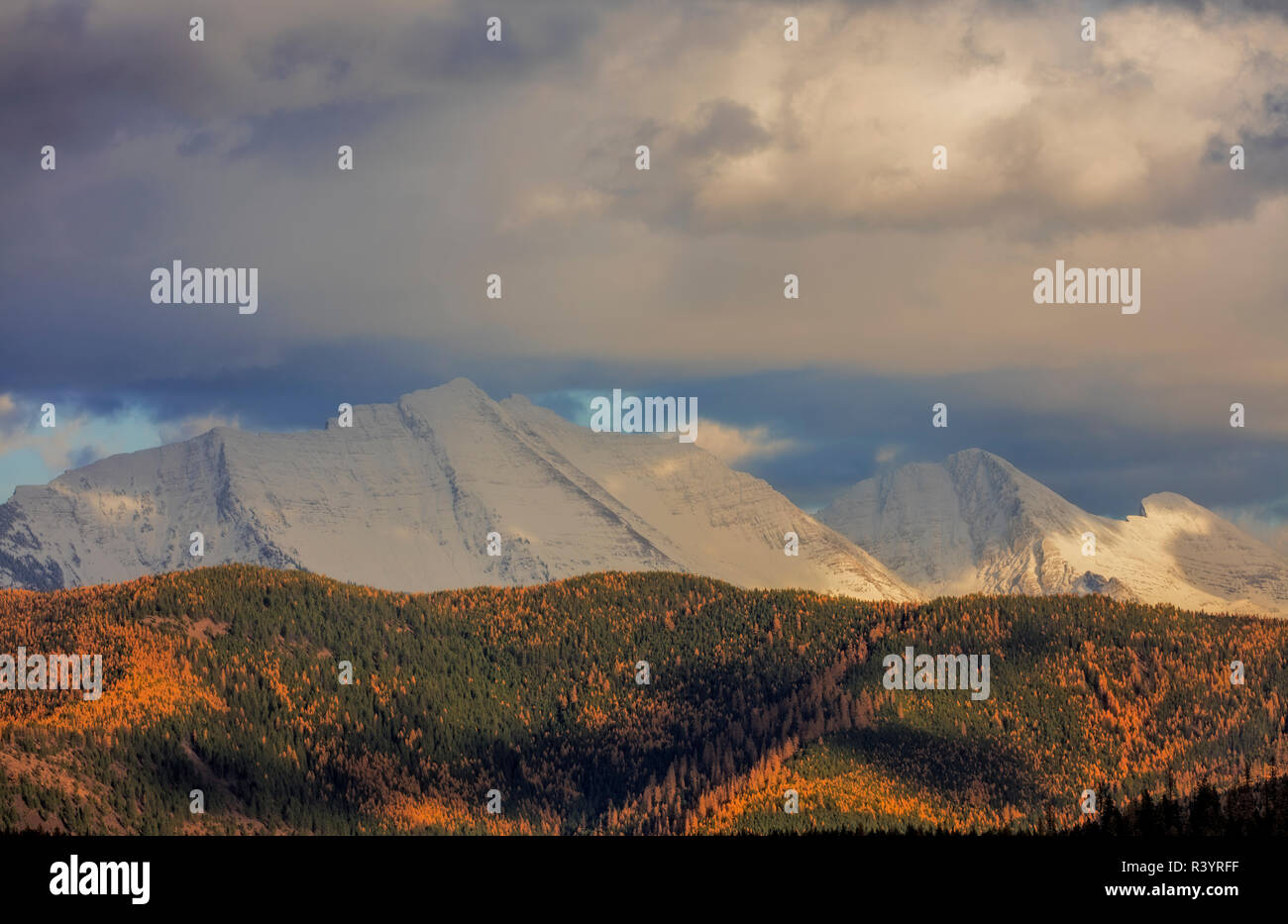 Great Northern Mountain im Herbst oben Hungry Horse Behälter in der Flathead National Forest, Montana, USA Stockfoto