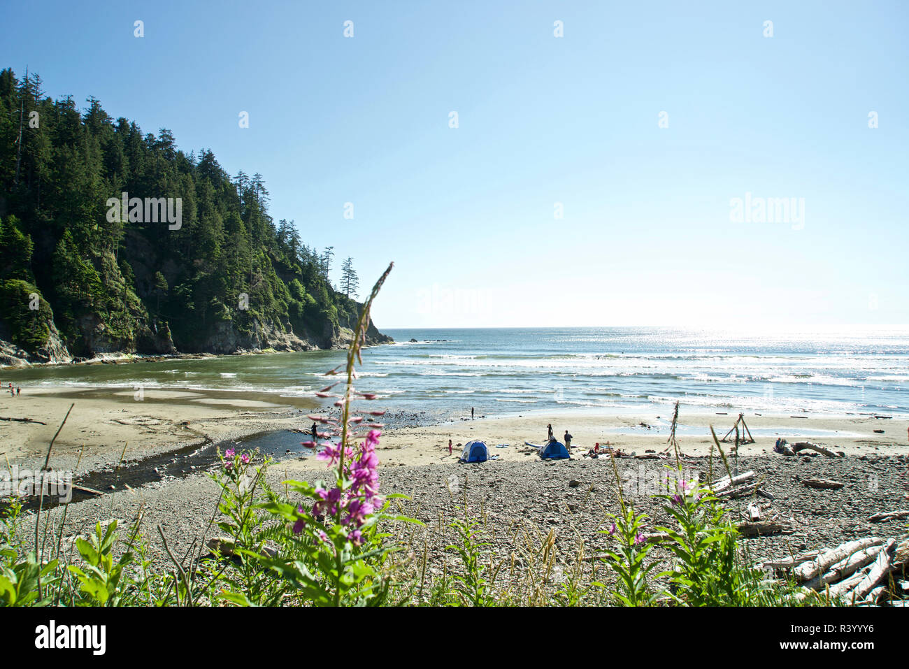 USA, Oregon. Smuggler Cove in Oswald West State Park Stockfoto