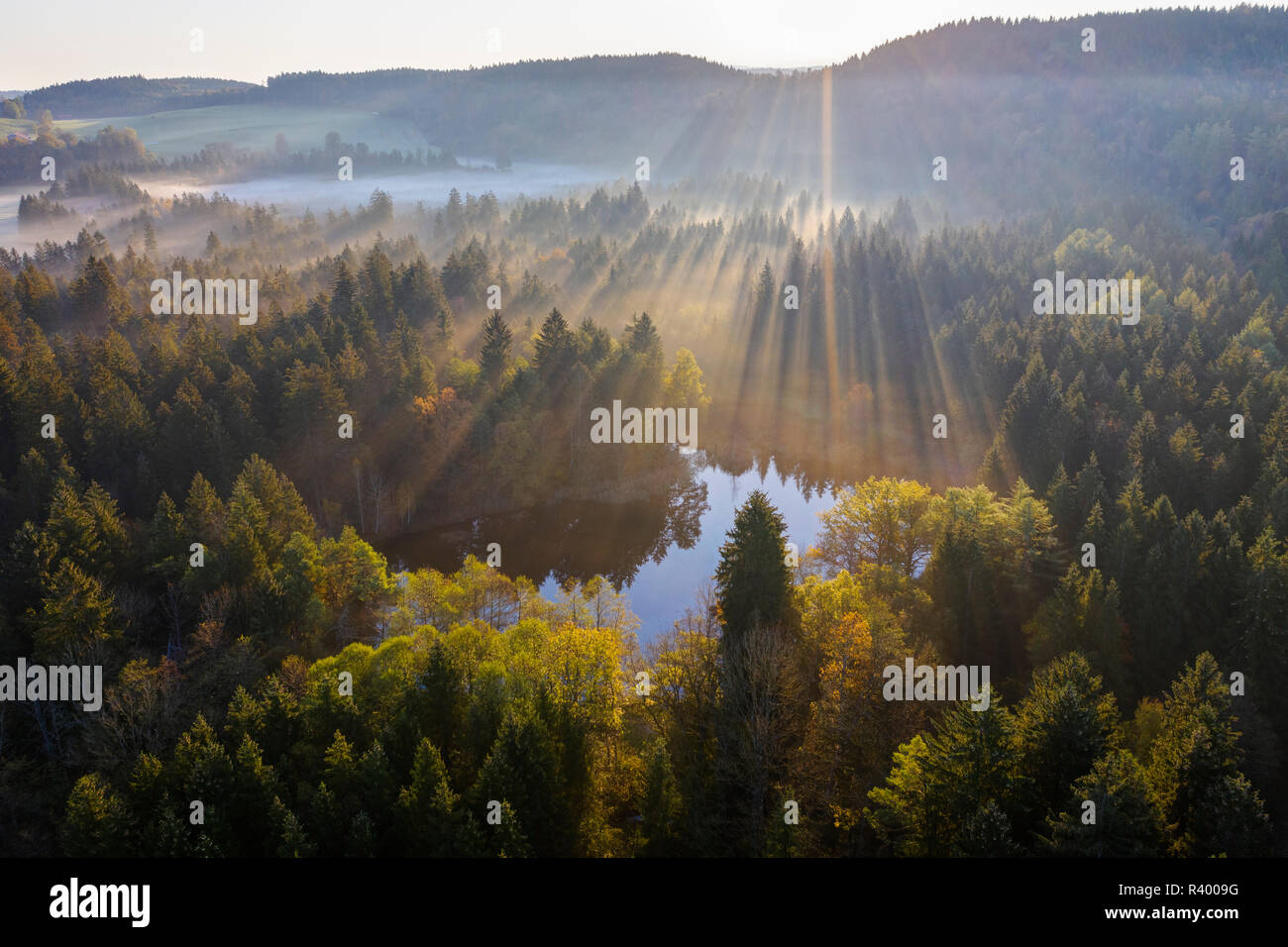 Sonnenstrahlen über Wald mit Wolken, Nebel, Sonnenaufgang, Naturschutzgebiet Klosterfilz, Dietramszell, Drone, Tölzer Land Stockfoto