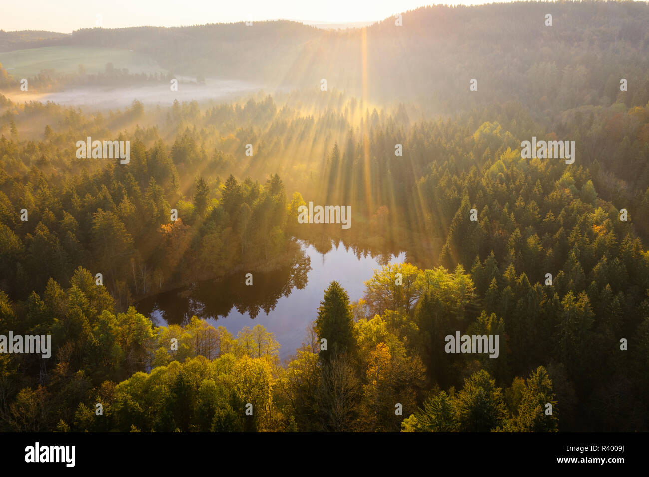 Sonnenstrahlen über Wald, Sonnenaufgang, Naturschutzgebiet Klosterfilz, Dietramszell, Drone, Tölzer Land, Oberbayern, Bayern Stockfoto