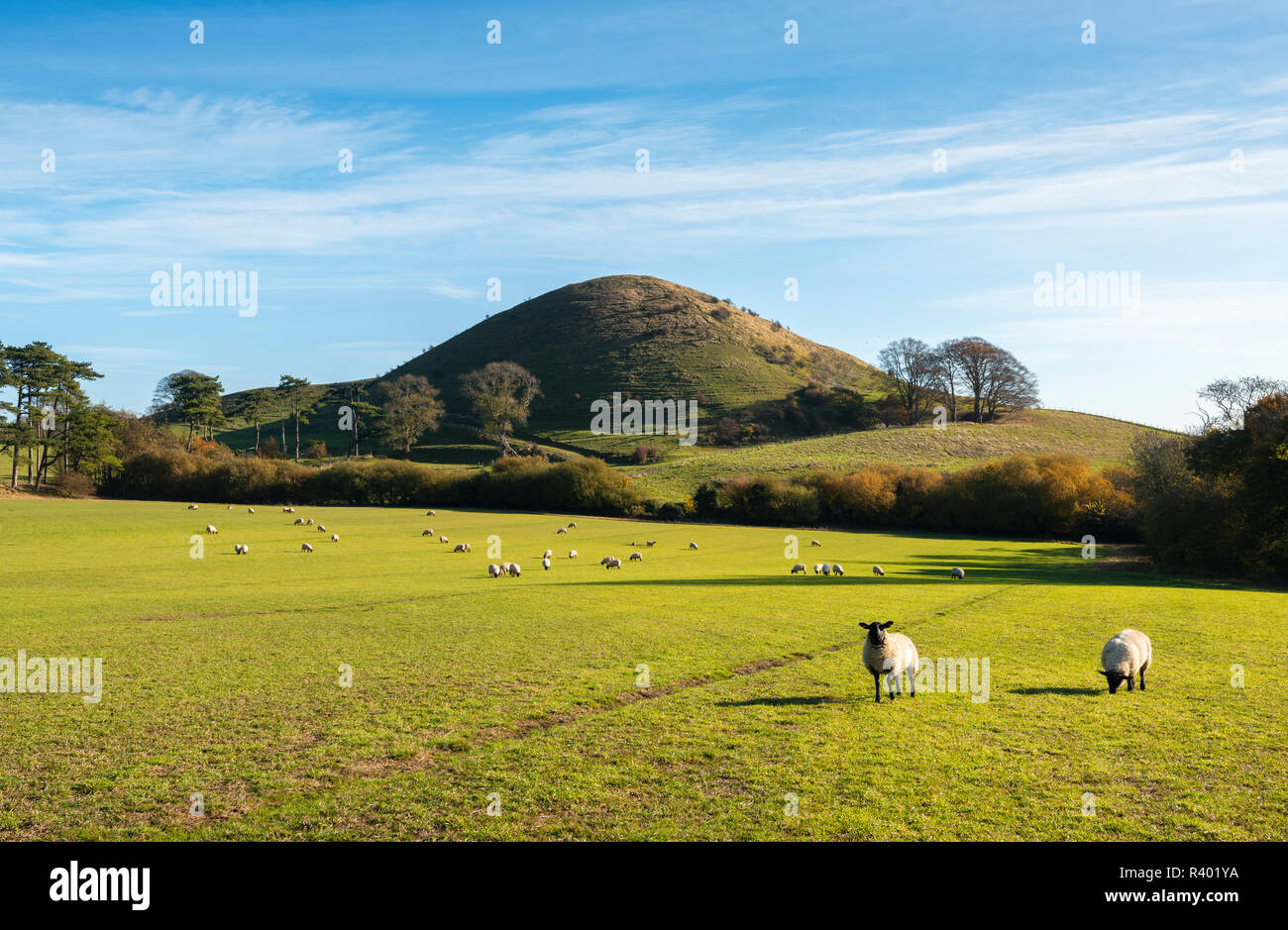 Sommerhaus Hill, ein kegelförmiges Merkmal der Kent Downs und breitere North Downs in der Nähe von Folkestone. Stockfoto