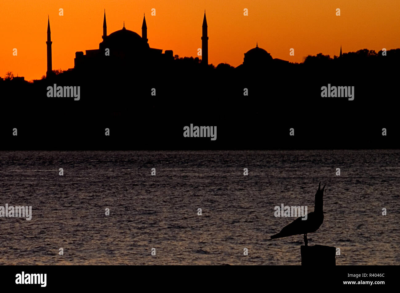 Silhouette der vierbeinigen Minarette Moschee im Sonnenuntergang Stockfoto