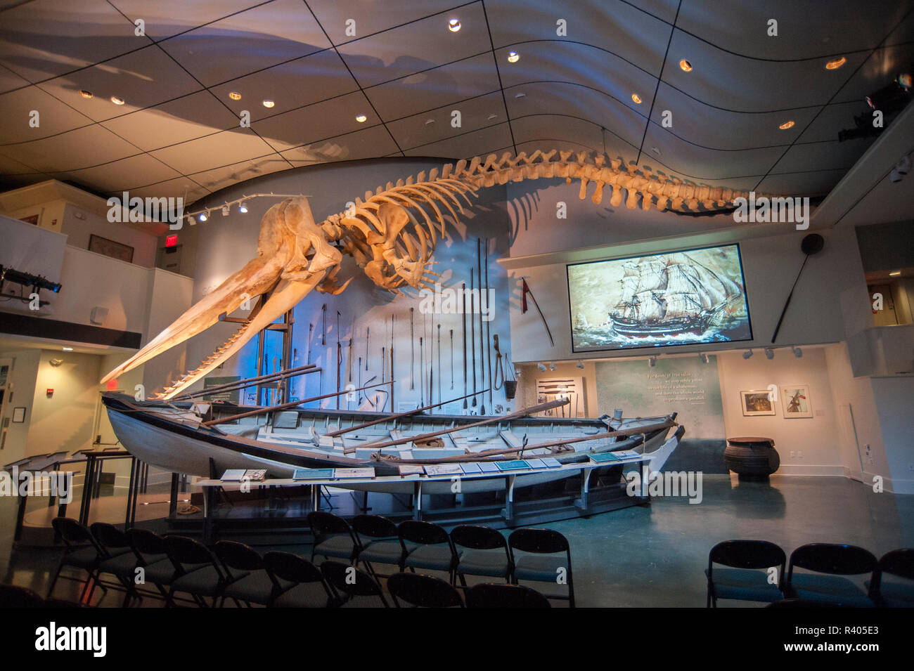 Whale Skeleton Nantucket Whaling Museum Fotos Und Bildmaterial In Whale Skeleton Nantucket Whaling Museum Fotos Und Bildmaterial In